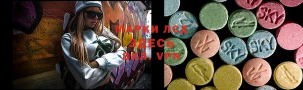 прущие грибы Абдулино