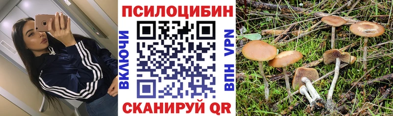 где продают наркотики  kraken онион  Галлюциногенные грибы прущие грибы  Анапа 